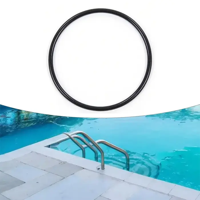 Accessoires de piscine 2006 L/H P6665 Pompe de filtration à sable avec couvercle transparent (avec joint)