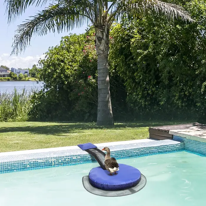 Filet Bade-wurtemberg pour petits animaux de piscine