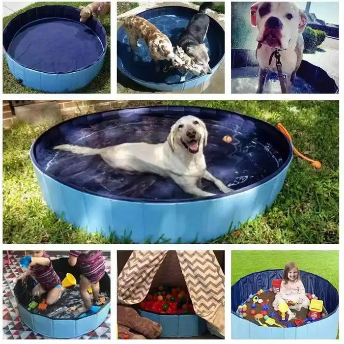 Piscine pliable pour chat et chien