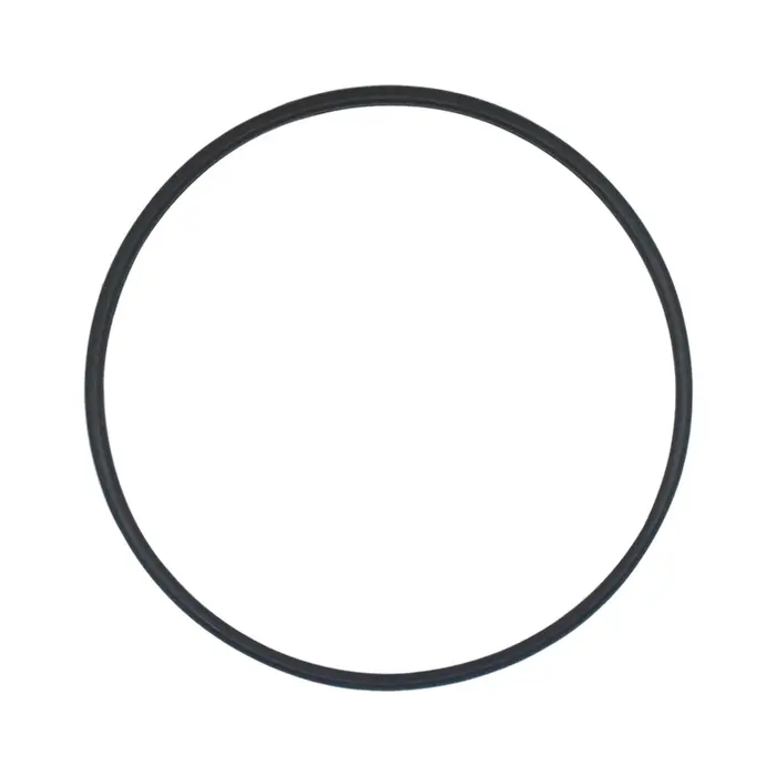 Joint d'étanchéité pour couvercle de pompe de piscine