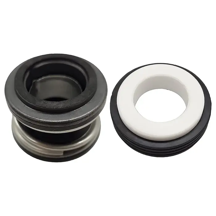 Joint de remplacement pour pompe de piscine éventuelles X1600Z2