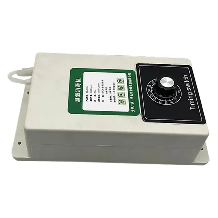 Générateur d'ozone A52Q pour l'entretien des piscines, purificateur d'air, 2000Mg/H, comprend un min