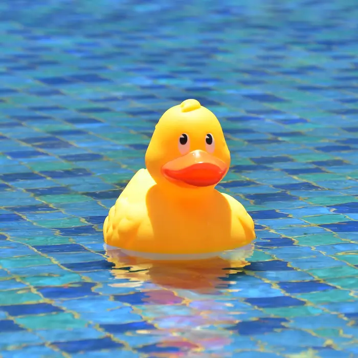 Distributeur de chlore flottant pour piscine (canard jaune)