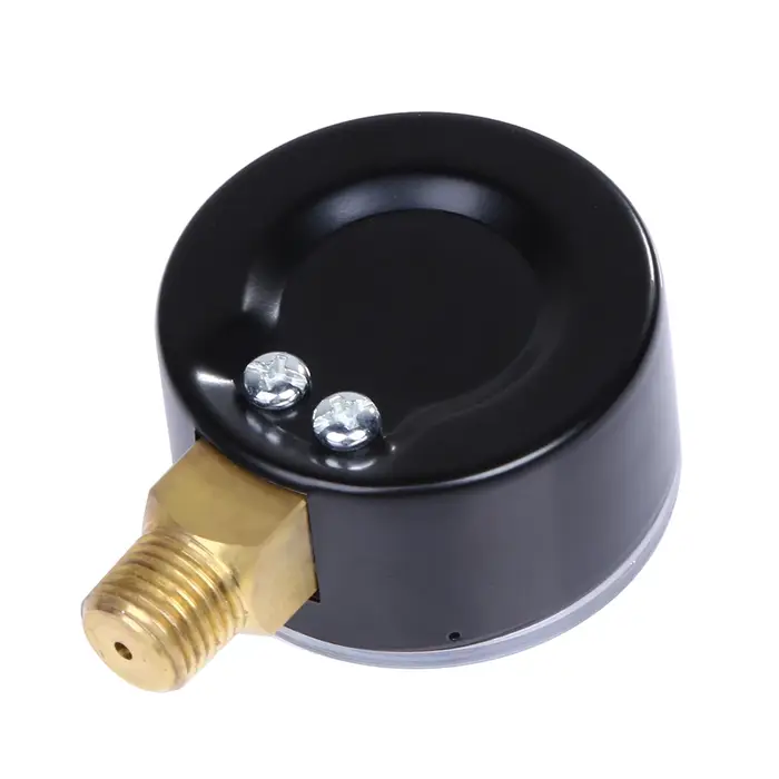 Manomètre de pression pour filtre de piscine 50 mm 0-60 PSI