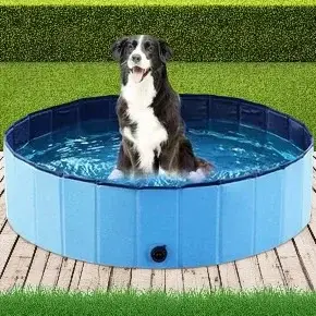 Piscine pliable pour animaux de compagnie baignoire Portable pour chien 160x30cm 120x30cm