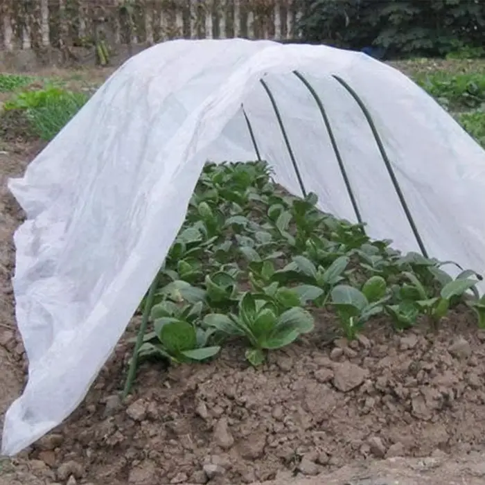 Feuille de plastique en polyéthylène transparent