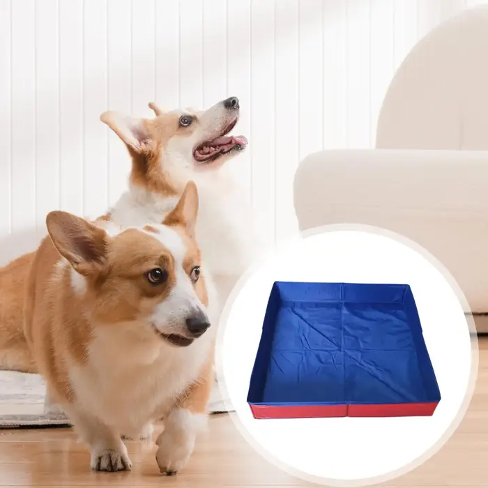 Piscine pliable pour animaux de compagnie en PVC 50x50cm
