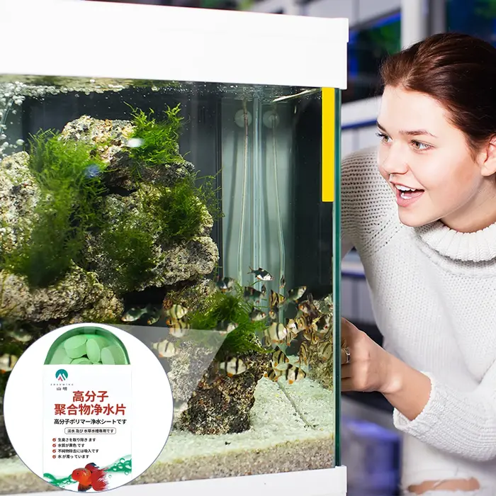Comprimé de Purification de traitement de l'eau d'aquarium