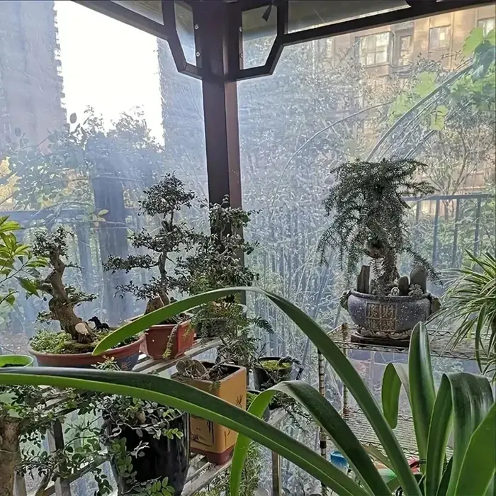 Bâche transparente imperméable de jardin