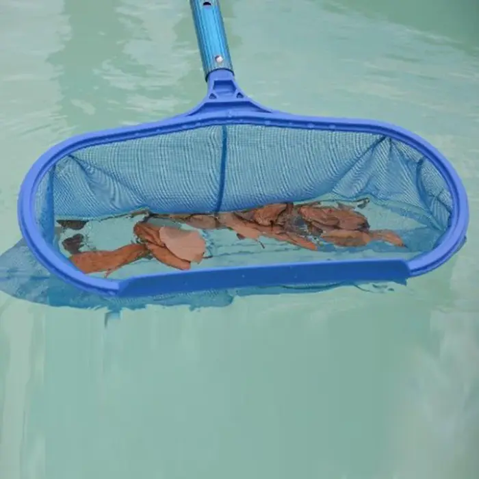 Écumoire de feuilles pour piscines