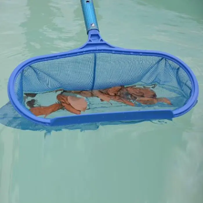Filet d'écumage du cuir chevelu pour piscines