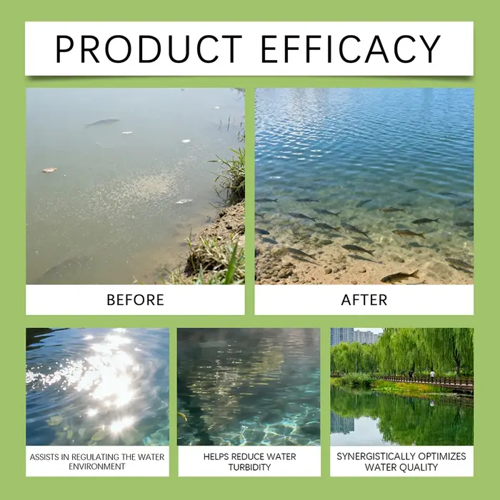 Poudre de Soin pour la Qualité de l'Eau : Traitement Naturel Anti-Algues pour Bassins