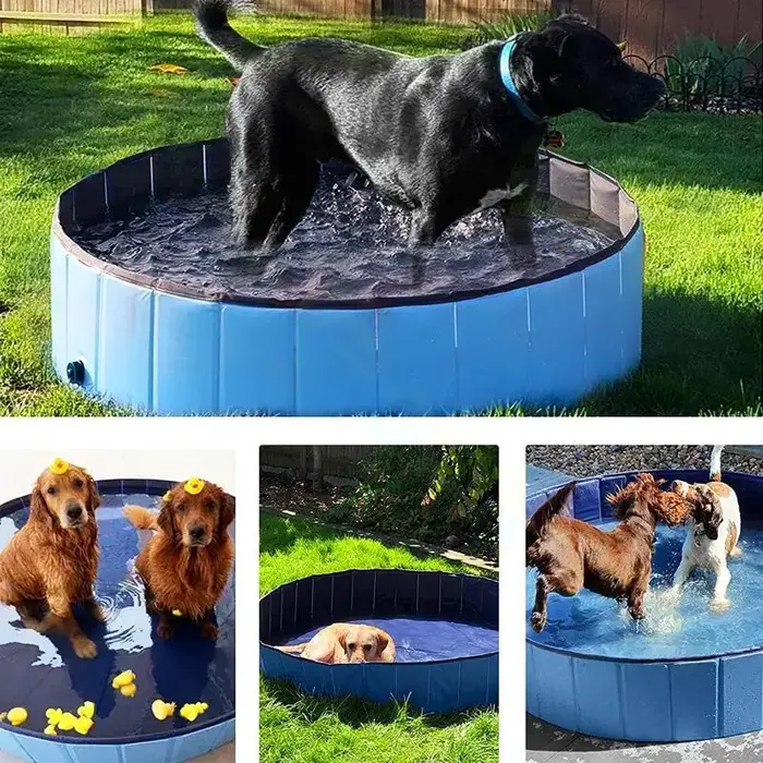 Piscine pliable pour chat et chien