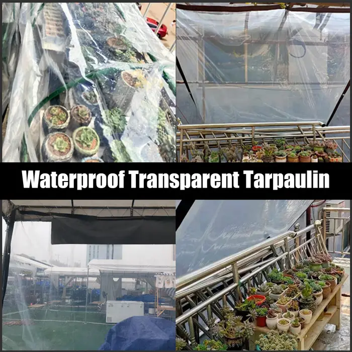 Bâche imperméable transparente épaisse pour jardin