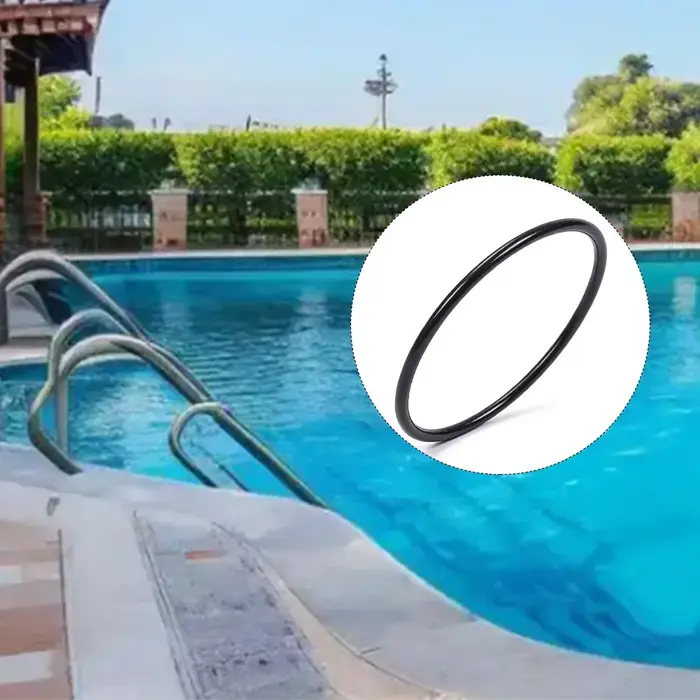 Accessoires de piscine 2006 L/H P6665 Pompe de filtration à sable avec couvercle transparent (avec joint)