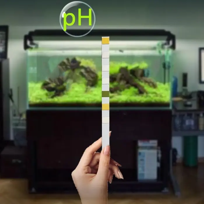 Bandelettes de test d'aquarium pour piscine et sécuritaires