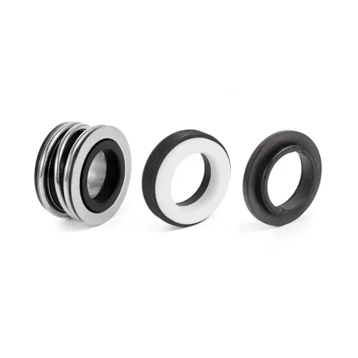Joint de remplacement pour pompe de piscine éventuelles X1600Z2