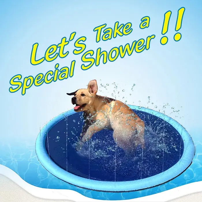 Piscine gonflable pour animaux de compagnie d'été