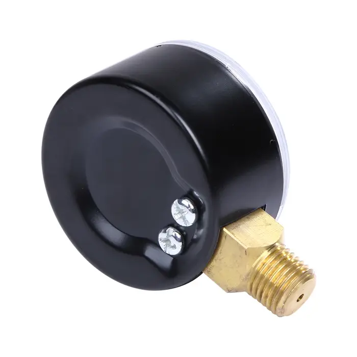 Manomètre de pression pour filtre de piscine 50 mm 0-60 PSI