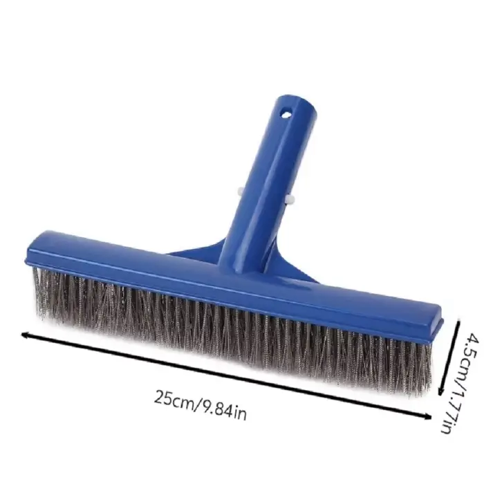 Brosse à algues en acier inoxydable durable de 10 pouces pour le nettoyage des piscines