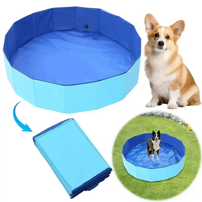 Piscine pliable pour chien