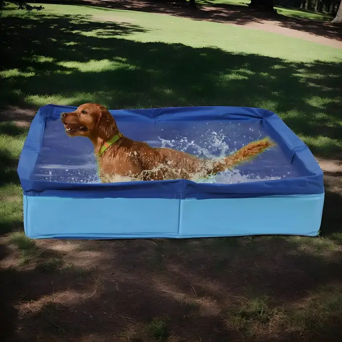 Piscine pliable en PVC pour animaux de compagnie