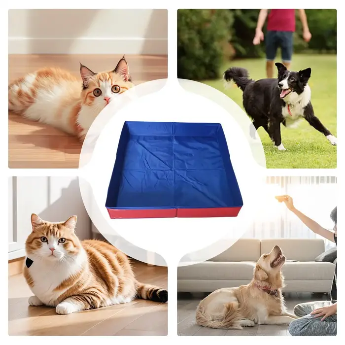 Piscine pliable pour animaux de compagnie en PVC 50x50cm