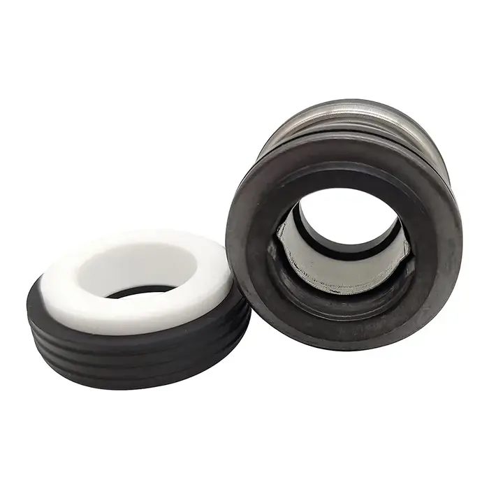 Joint de remplacement pour pompe de piscine éventuelles X1600Z2