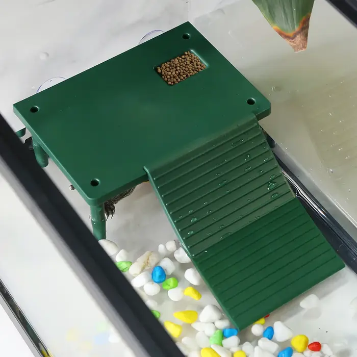 Plateforme de bain de soleil tortue