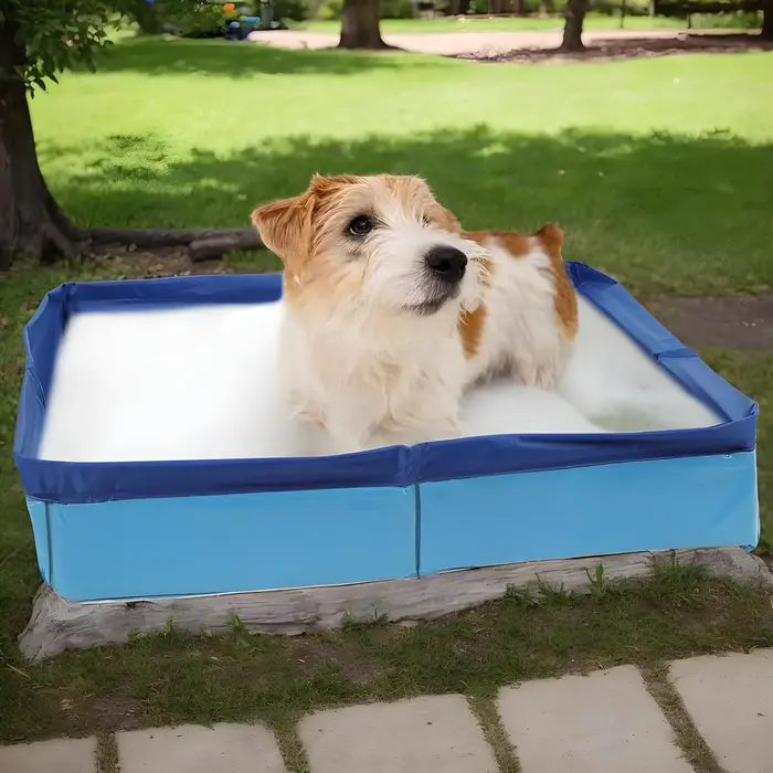 Piscine pliable en PVC pour animaux de compagnie