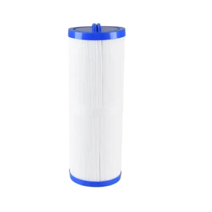 Les accessoires de filtre de SPA de natation conviennent au remplacement de filtre de baignoire à re