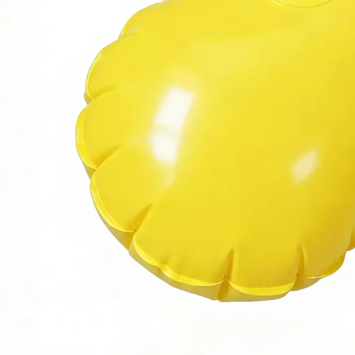 Ensemble de 4 flotteurs gonflables pour piscine avec pompe à air