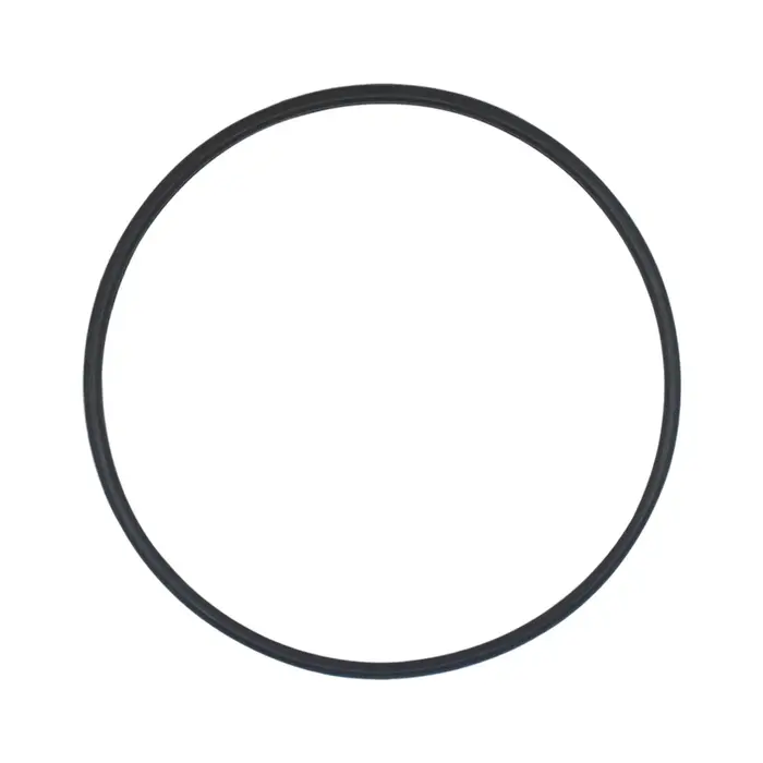 Joint d'étanchéité pour couvercle de pompe de piscine
