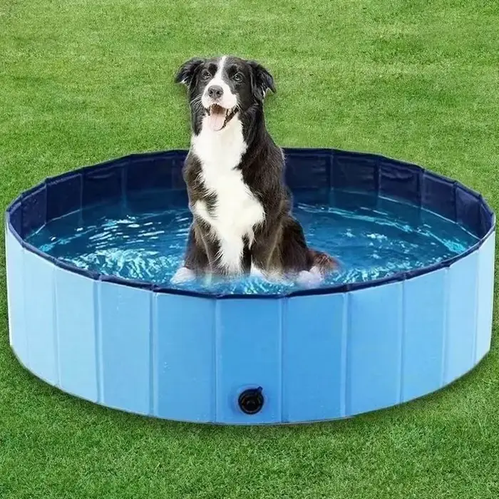 Piscine pliable pour chat et chien, jouet aquatique, baignoire pour chiens et chats, été, bassin de