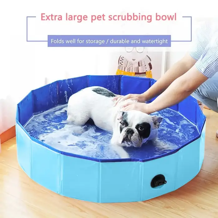 Piscine pliable pour chien