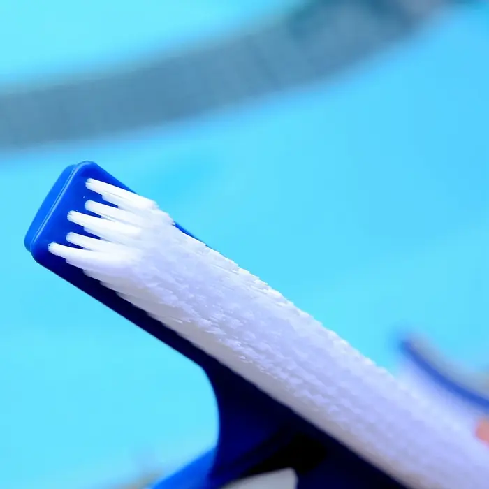 Brosse de nettoyage de piscine en plastique de 10 pouces pour l'entretien des piscines