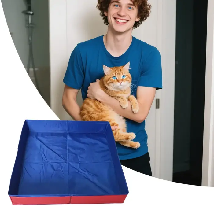 Piscine pliable en PVC pour animaux de compagnie