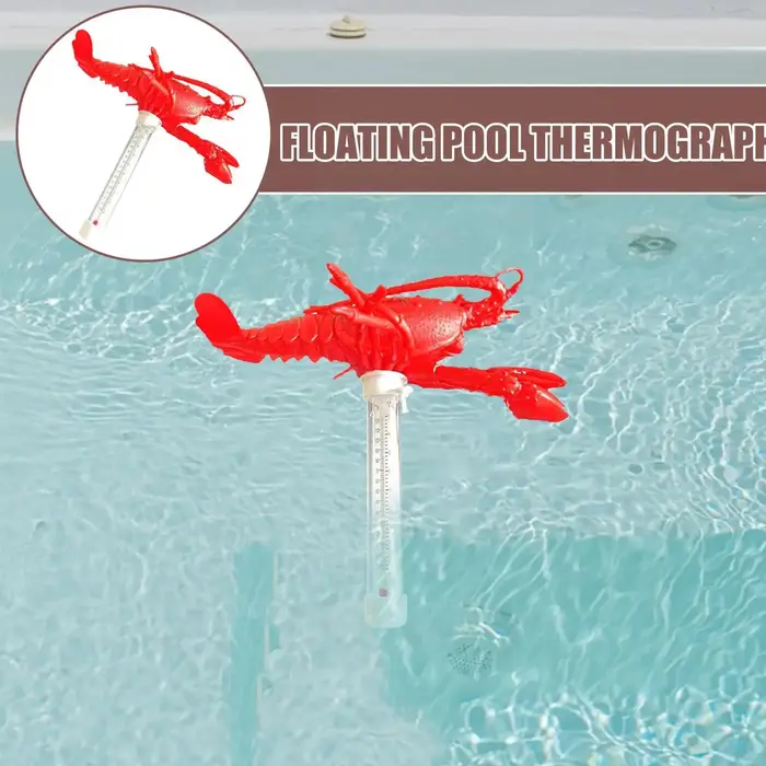 Thermomètre de piscine