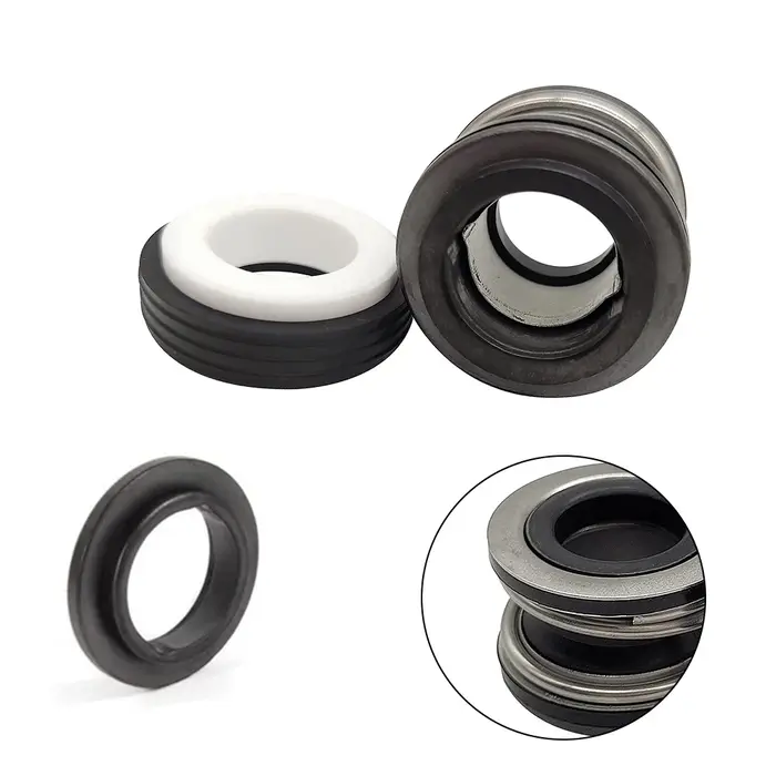 Joint de remplacement pour pompe de piscine éventuelles X1600Z2