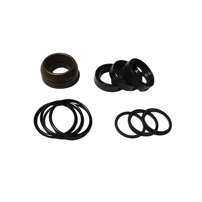 Kit de réparation de joint d'étanchéité pour pompe Annovi Reverberi AR42476 OEM