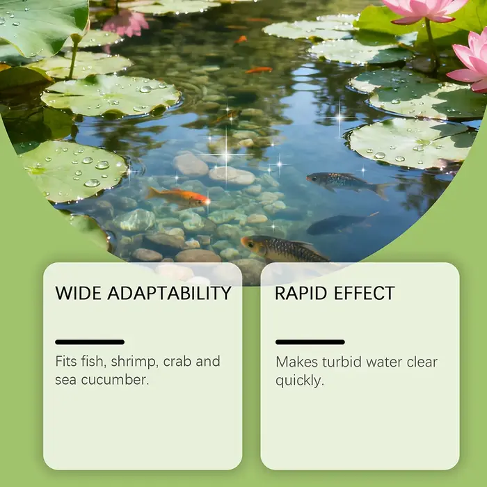 Poudre de Soin pour la Qualité de l'Eau : Traitement Naturel Anti-Algues pour Bassins