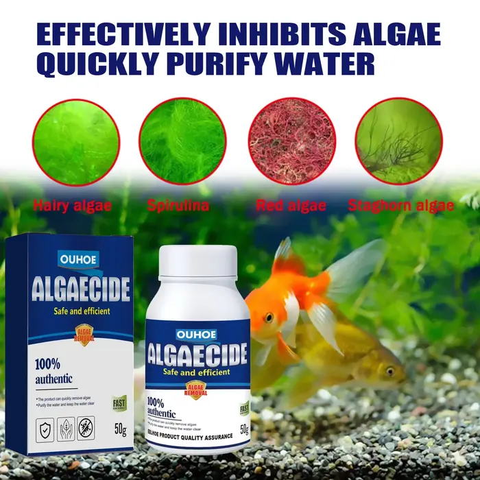Dissolvant d'algues d'aquarium