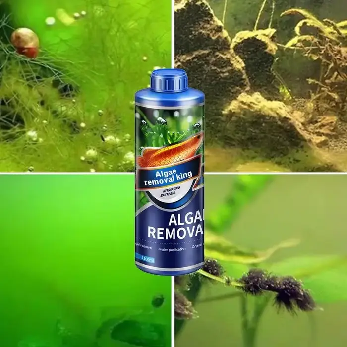 Dissolvant d'algues aquatiques pour aquarium