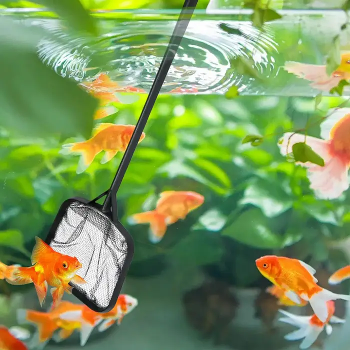 Filets de piscine pour le nettoyage