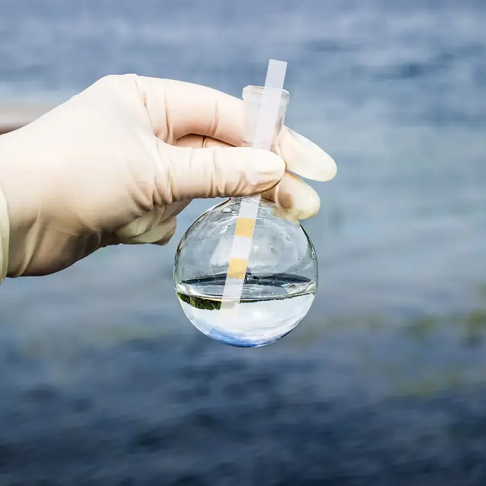 50 Bandelettes de Test Multifonctionnelles pour la Qualité de l'Eau