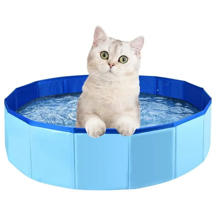 Piscine pliable pour animaux de compagnie pour chats et chiens