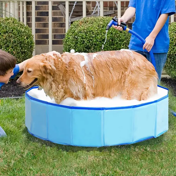 Piscine pliable pour chiens