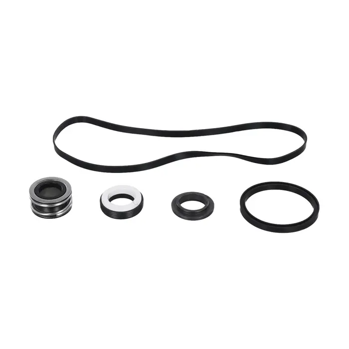 Kit de joints pour restaurer l'efficacité des pompes de piscine Hayward