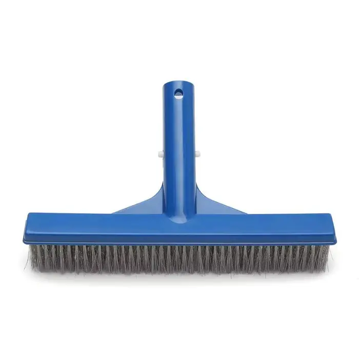 Brosse à algues en acier inoxydable durable de 10 pouces pour le nettoyage des piscines, spas et fon