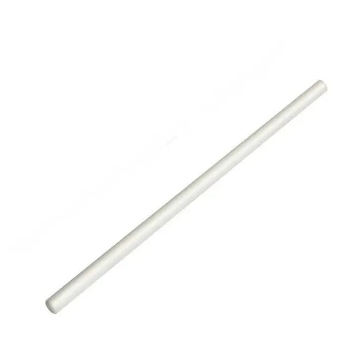 Pour Intex Atman Sunsun Pure Spa pompe à eau Rotor arbre en céramique 2.5mm/3mm/3.5mm jacuzzi turbine